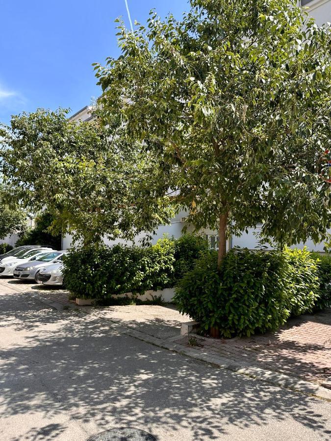Apartment Tranquilo Сплит Экстерьер фото